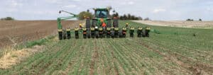 Figure 1. Here, corn is being planted into recently terminated winter wheat that is 6 to 8 inches tall. (Nathan Mueller)