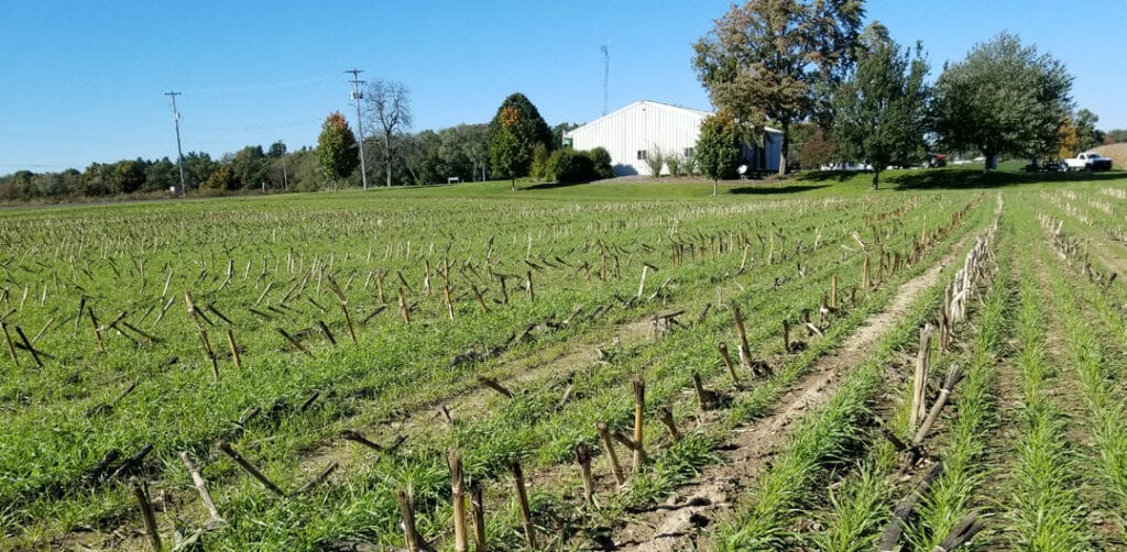 Michigan Cover Crop Recipe – Post Corn Silage, Going To Soybean: Use ...